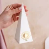Cone Shaped Favor Boxes