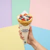 Crepe Cone Packaging