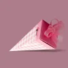 Cone Shaped Favor Boxes