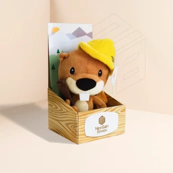 Custom Toy Packaging