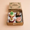 Custom Christmas Cupcake Boxes
